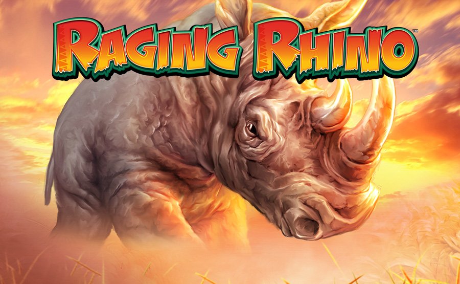 Raging Rhino Slot